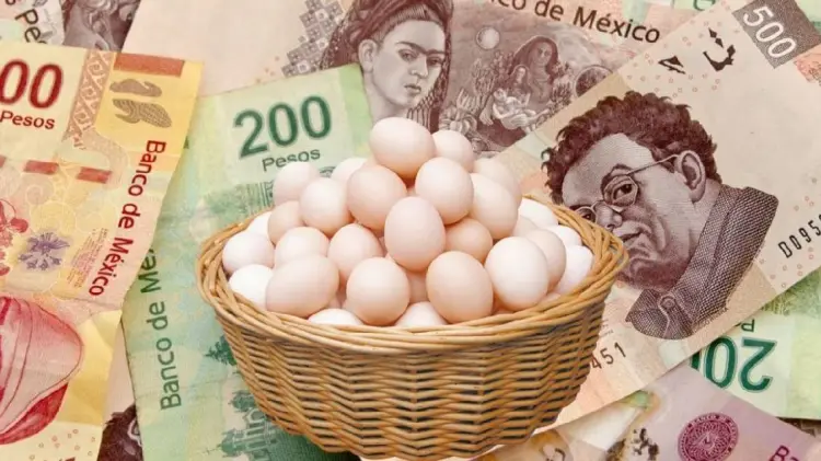 Foto: El precio del huevo se está estabilziando (Especial/EXPRESO)