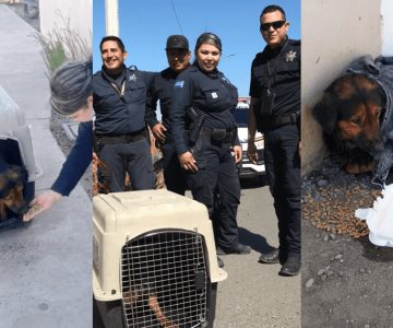 Cinco, perro rescatado del vertedor de la presa, es adoptado por policías