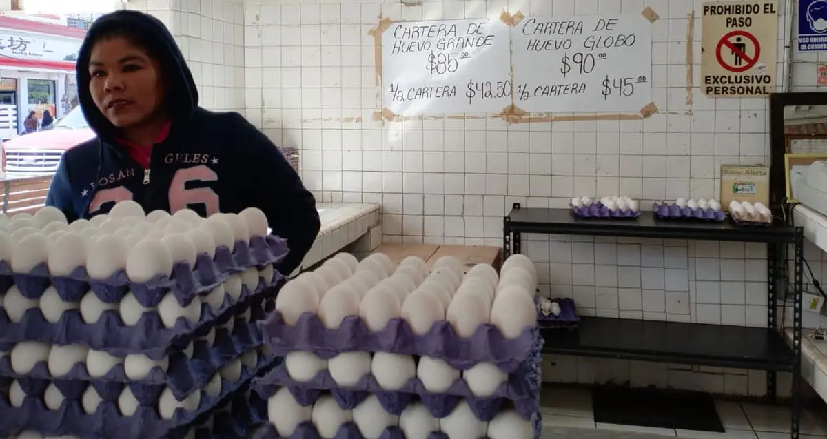 Pese a aumento de precio, en Navojoa no dejan de consumir huevo