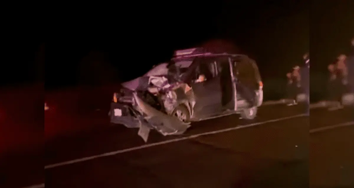 Mueren dos vacas por accidente en la Hermosillo-Bahía de Kino