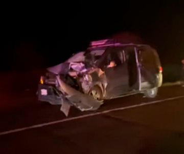 Mueren dos vacas por accidente en la Hermosillo-Bahía de Kino