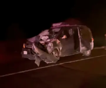 Mueren dos vacas por accidente en la Hermosillo-Bahía de Kino