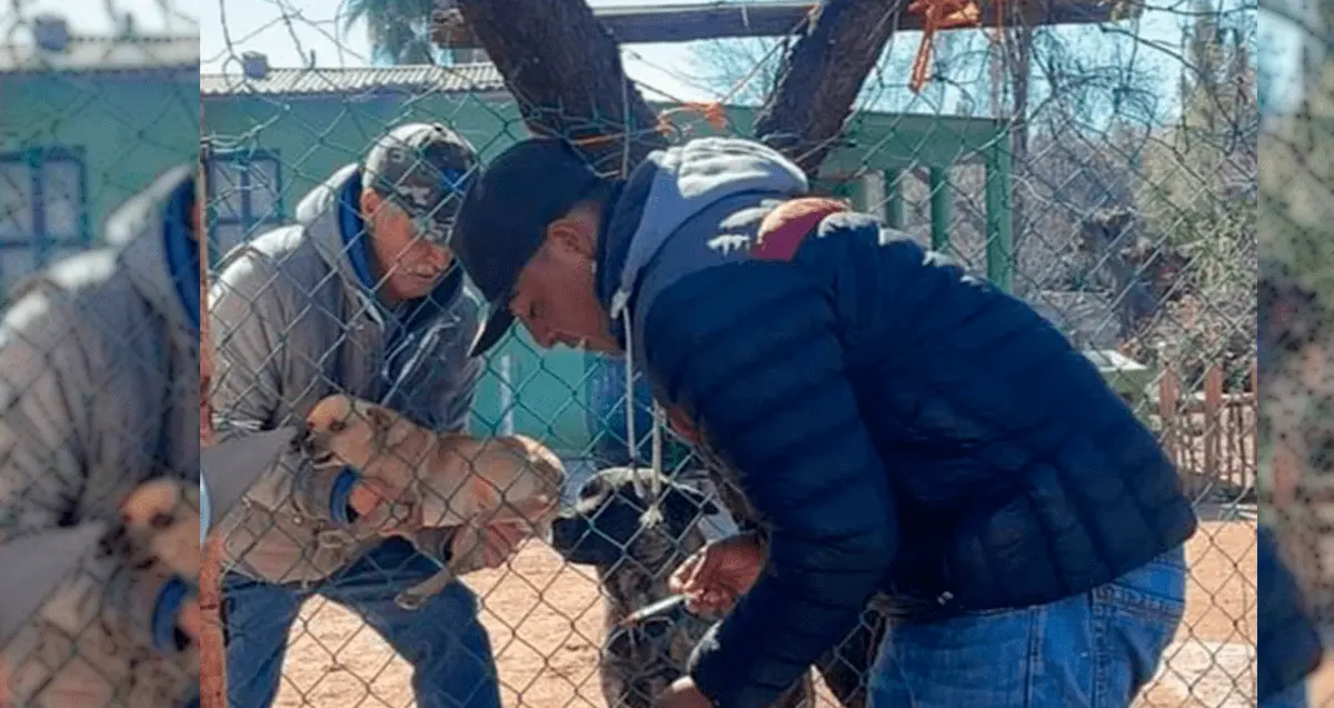 Sancionan a hombre por maltrato animal