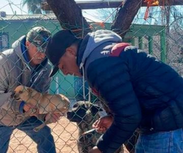 Sancionan a hombre por maltrato animal