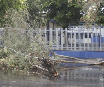 Lanzan alerta por rachas de viento en la entidad