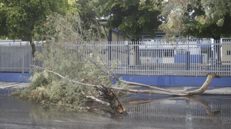 Se espera rachas de viento de más de 100 kilómetros. (Foto: Archivo/EXPRESO)