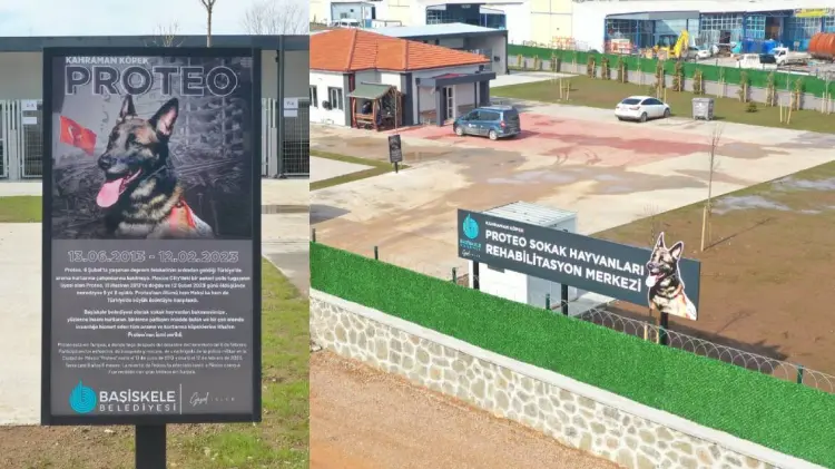 La muerte de Proteo ha afectado tanto a México como fue recibida con tristeza en Turquía, se lee en el cartel (Foto: Especial/EXPRESO)