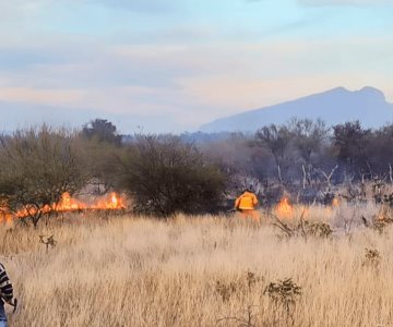 Asadores pueden causar incendios; señalan medidas de seguridad