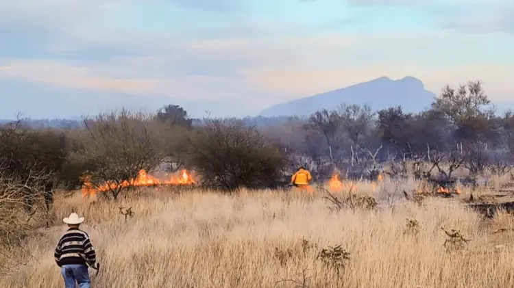 Zona campestre de Cajeme (Foto: Ana Camargo/ EXPRESO)