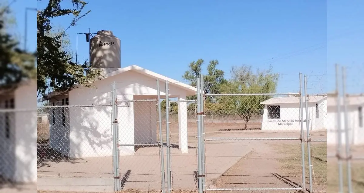 Buscan reabrir el Centro de Atención Animal de Navojoa