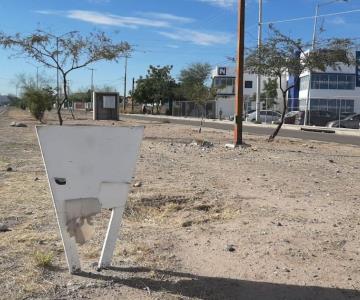 Invitan a adoptar un camellón en Hermosillo
