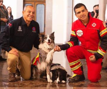 Orly y Balam inspiran escuela para perros rescatistas en Querétaro