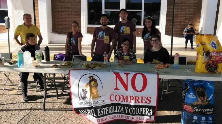 En las afueras del Palacio Municipal de Navojoa se llevó a cabo la colecta de alimentos para perros (Foto: Especial/EXPRESO)