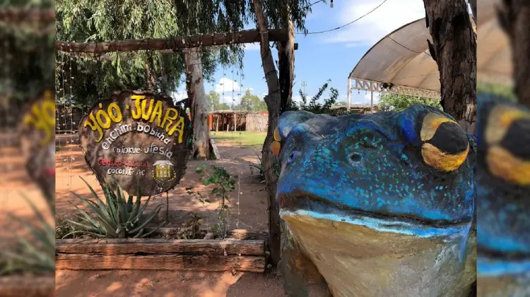 Centro Cultural Yoo Joara (Foto: Especial/EXPRESO)