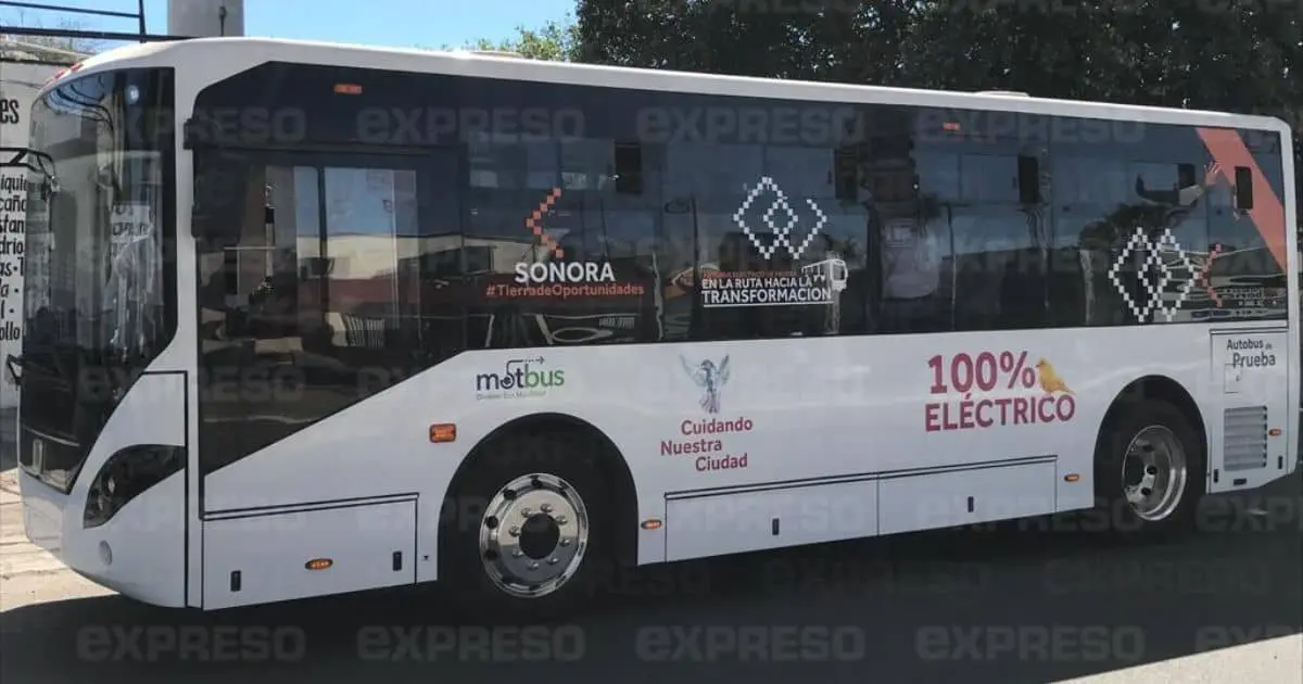 Analiza Estado compra o renta de autobuses eléctricos: Lirio del Castillo