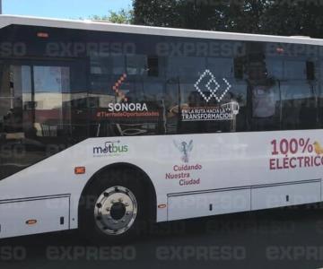 Analiza Estado compra o renta de autobuses eléctricos: Lirio del Castillo