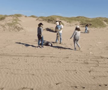 Turistas dejan toneladas de basura en playas de Huatabampito