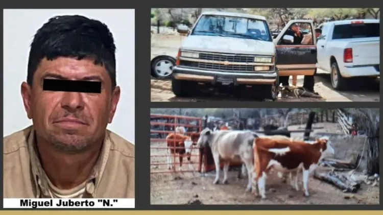 Miguel Juberto “N”., detenido por delito de abigeato. (Foto: Cortesía de Fiscalía de Sonora)