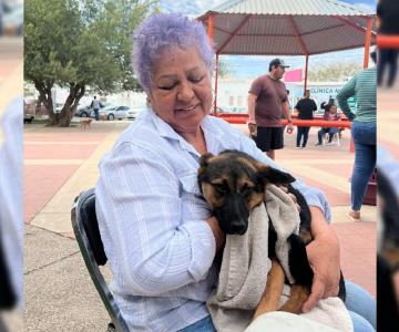 Realizarán Jornada de Esterilización en el Parque Las aves