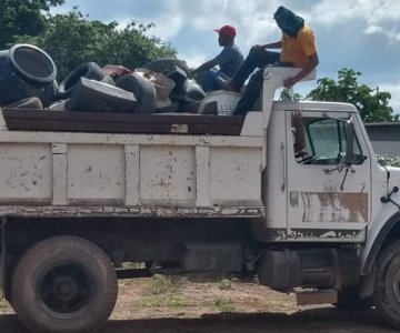 Para erradicar el dengue, inician nueva jornada de descacharre en Navojoa