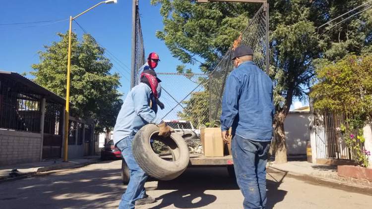 Para erradicar el dengue, inician nueva jornada de descacharre en Navojoa