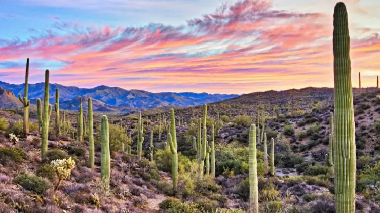 Bajarán las temperaturas en Sonora este fin de semana (Foto: Especial/EXPRESO)