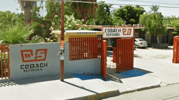 Actualmente la demanda de ingreso a Cobach Sonora es de 14 mil alumnos. (Foto: Especial)