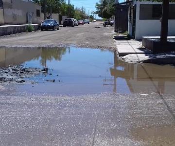 Entre aguas negras viven vecinos de Los Juris en Huatabampo