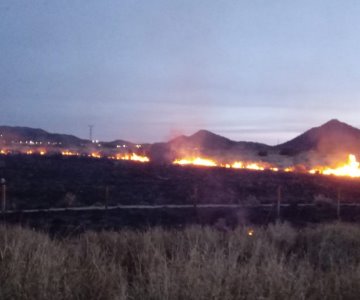 Multan con 300 mil pesos por quemar llantas y basura