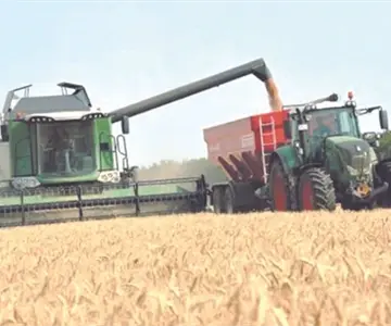 Agricultores de Sonora advierten pérdidas por $3 mil millones