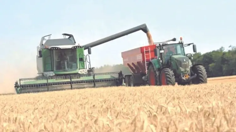 En un mes más iniciarán las trillas en los valles del Yaqui y Mayo. (Foto: Especial / EXPRESO)