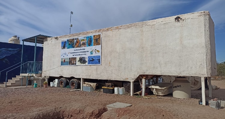 El CRRIFS amplió sus instalaciones para ayudar a más animales