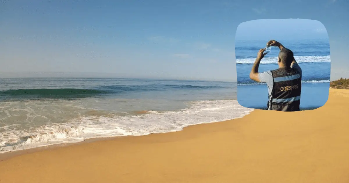 Tres playas de México no son aptas para uso recreativo: Cofepris