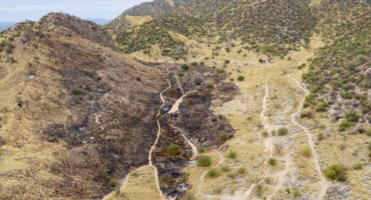 Exigen que dueños de terrenos en Cerro Johnson asuman gastos de incendio