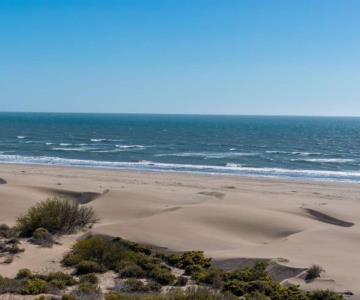 Alertan a vacacionistas por mantarrayas en Playa Esperancita