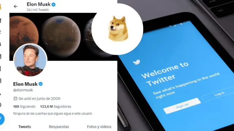 Los sitios donde solía aparecer el pajarito azul han sido tomados por Doge. (Foto: Especial/EXPRESO)