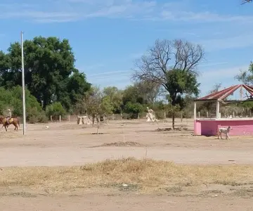 Limpian y dejan listo el Río Mayo para Semana Santa