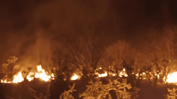 22 incendios se han registrado esta temporada (Foto: Especial/EXPRESO)