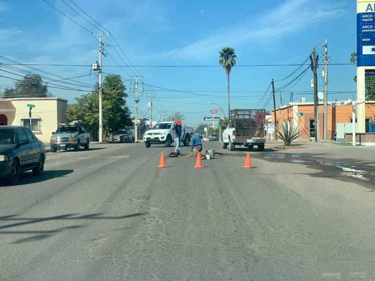 Navojoenses temen que brote de dengue regrese