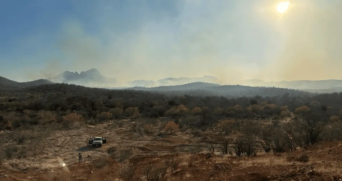 Se registró un total de 14 incendios forestales en el Valle del Yaqui