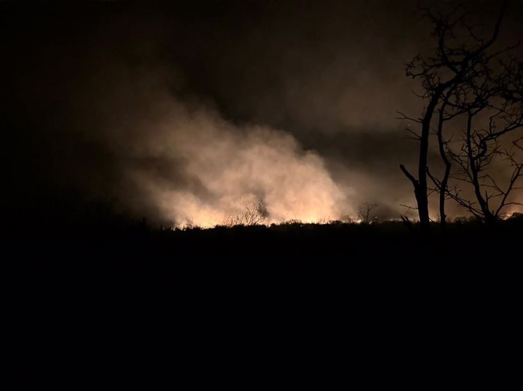 Se registró un total de 14 incendios forestales en el Valle del Yaqui