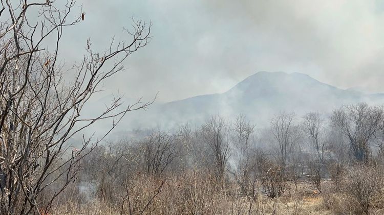 Se registró un total de 14 incendios forestales en el Valle del Yaqui