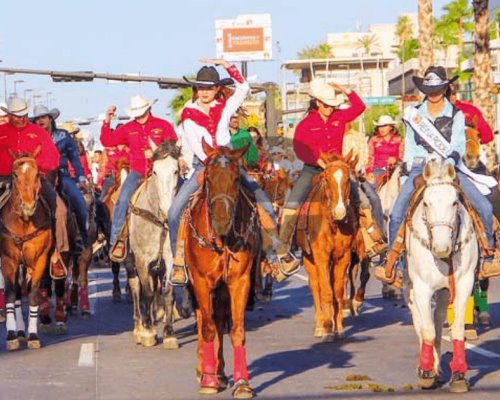 La ExpoGan regresa este domingo con su tradicional manifestación