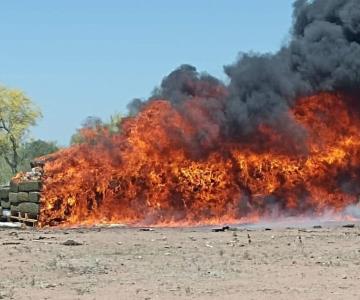 FGR destruye casi tres toneladas de droga asegurada en Sonora