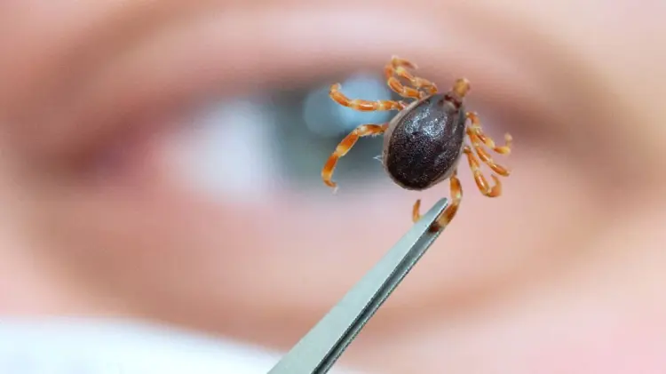 (Foto: Especial/EXPRESO).