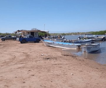 Reanudan la pesca del callo en Puerto de Yavaros