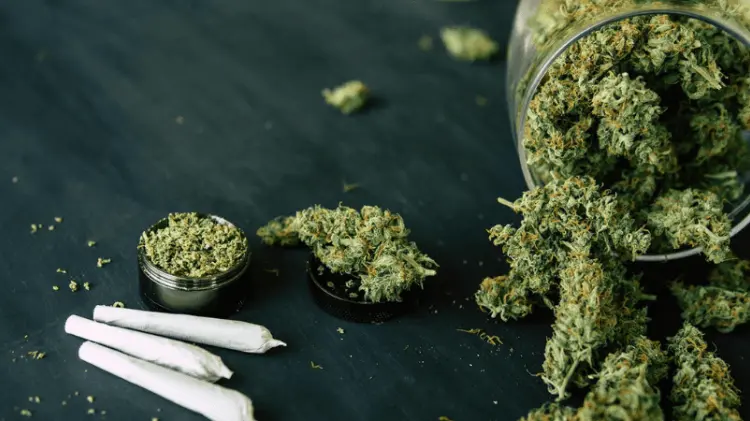 Hoy es el Día de la Mariguana. (Foto: Ilustrativa / EXPRESO)