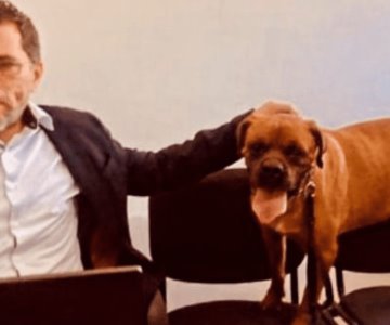 El Chato: primer perro que participa en audiencia judicial contra dueña