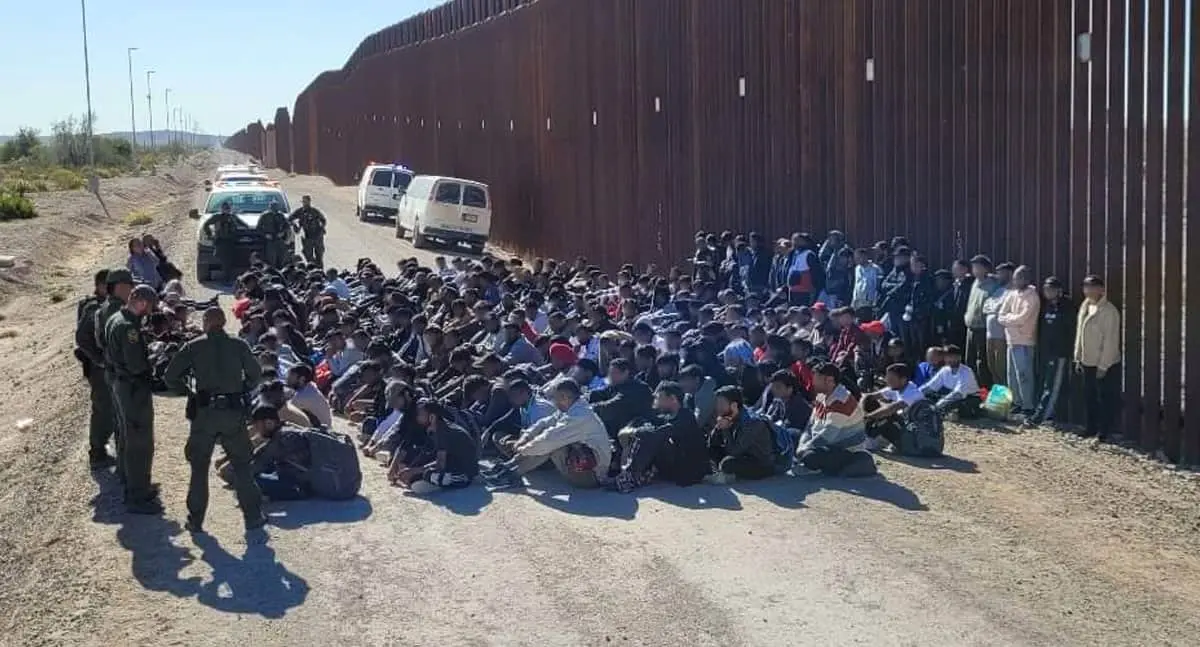 Ocho de cada diez polleros asegurados son de Estados Unidos
