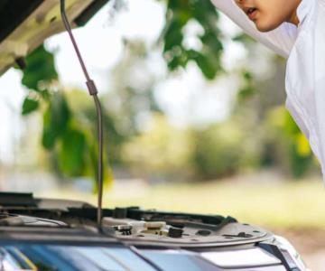 Escucharon ruidos en el auto y nunca imaginaron lo que hallaron